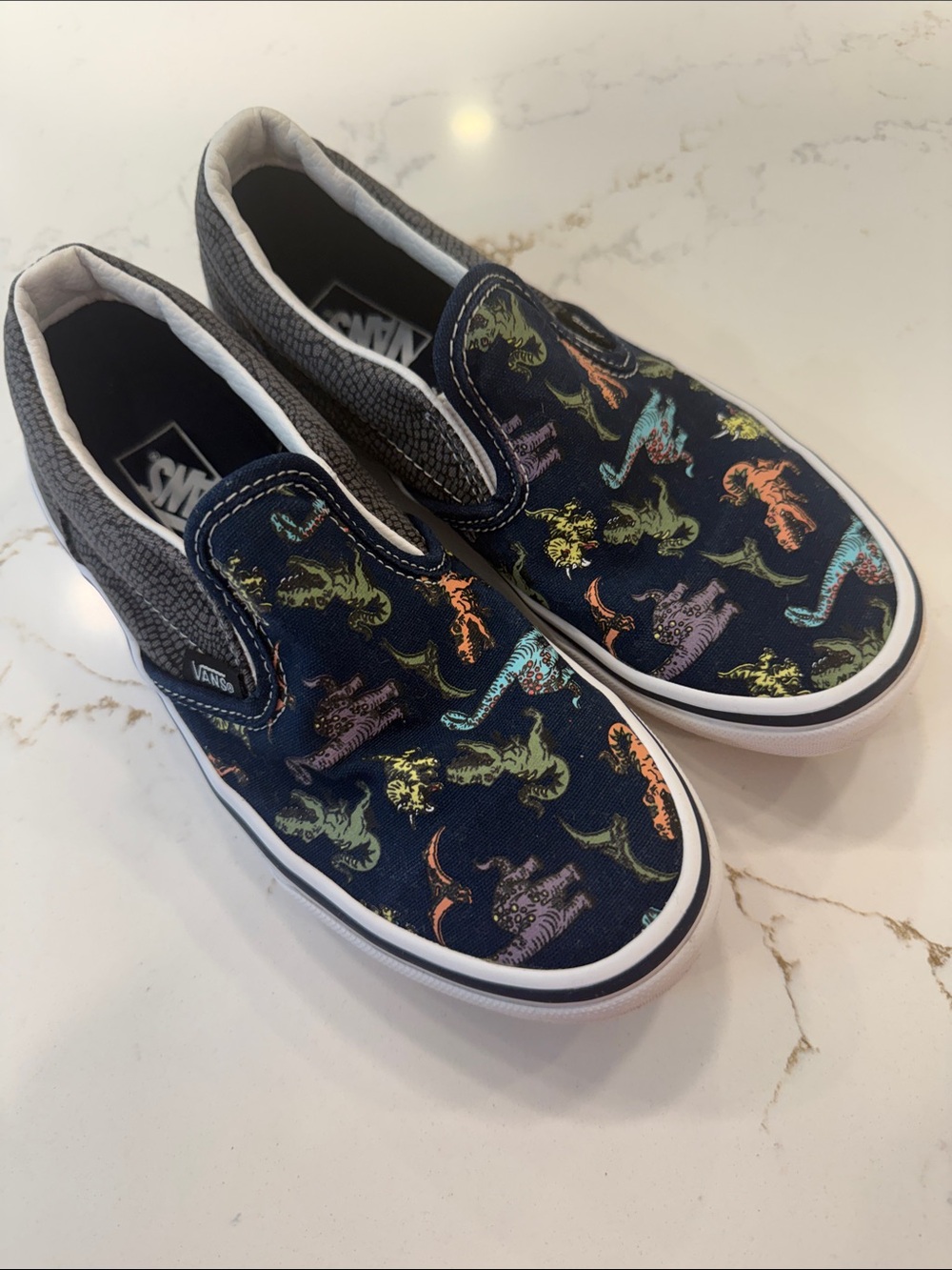 Vans Kids Slip-On Sneakers - Navy with Multi-Color Dino Print